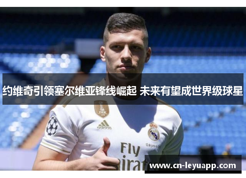 约维奇引领塞尔维亚锋线崛起 未来有望成世界级球星 约维奇引领塞尔维亚锋线崛起 未来有望成世界级球星