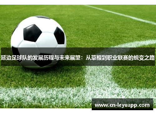 延边足球队的发展历程与未来展望:从草根到职业联赛的蜕变之路 延边足球队的发展历程与未来展望:从草根到职业联赛的蜕变之路
