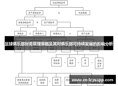 足球俱乐部财务管理策略及其对俱乐部可持续发展的影响分析