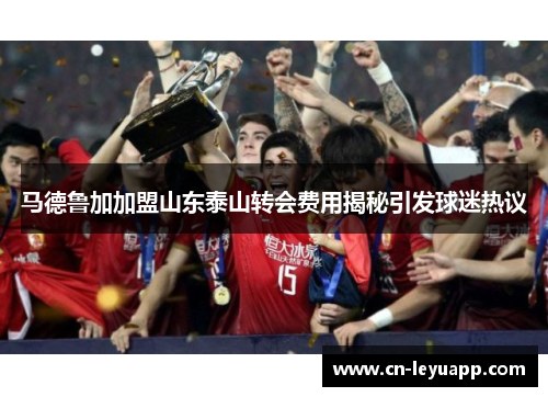 马德鲁加加盟山东泰山转会费用揭秘引发球迷热议 马德鲁加加盟山东泰山转会费用揭秘引发球迷热议