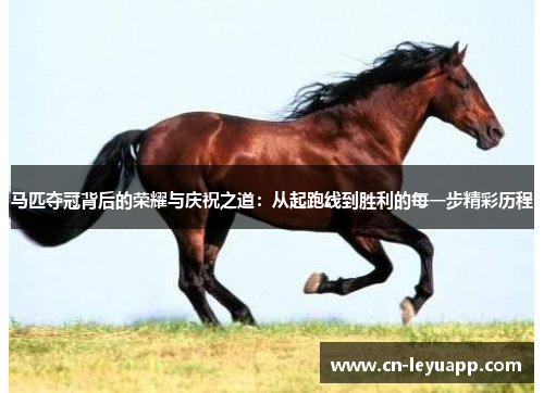 马匹夺冠背后的荣耀与庆祝之道:从起跑线到胜利的每一步精彩历程 马匹夺冠背后的荣耀与庆祝之道:从起跑线到胜利的每一步精彩历程
