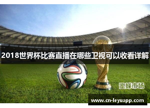 2018世界杯比赛直播在哪些卫视可以收看详解 2018世界杯比赛直播在哪些卫视可以收看详解