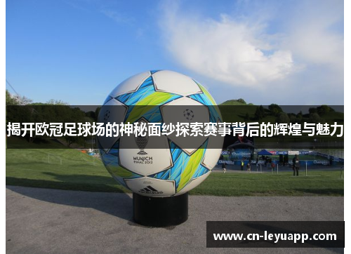 揭开欧冠足球场的神秘面纱探索赛事背后的辉煌与魅力 揭开欧冠足球场的神秘面纱探索赛事背后的辉煌与魅力