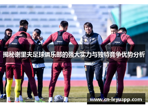 揭秘谢里夫足球俱乐部的强大实力与独特竞争优势分析